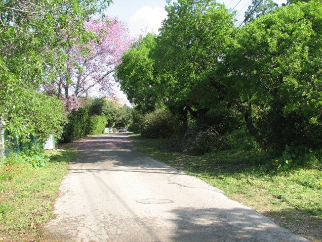 Picture1