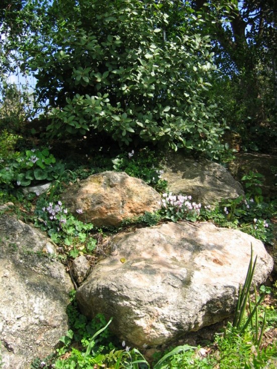 Picture13