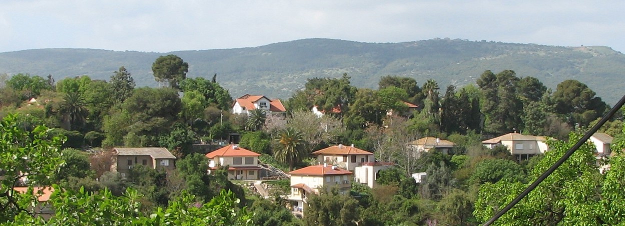 Picture3