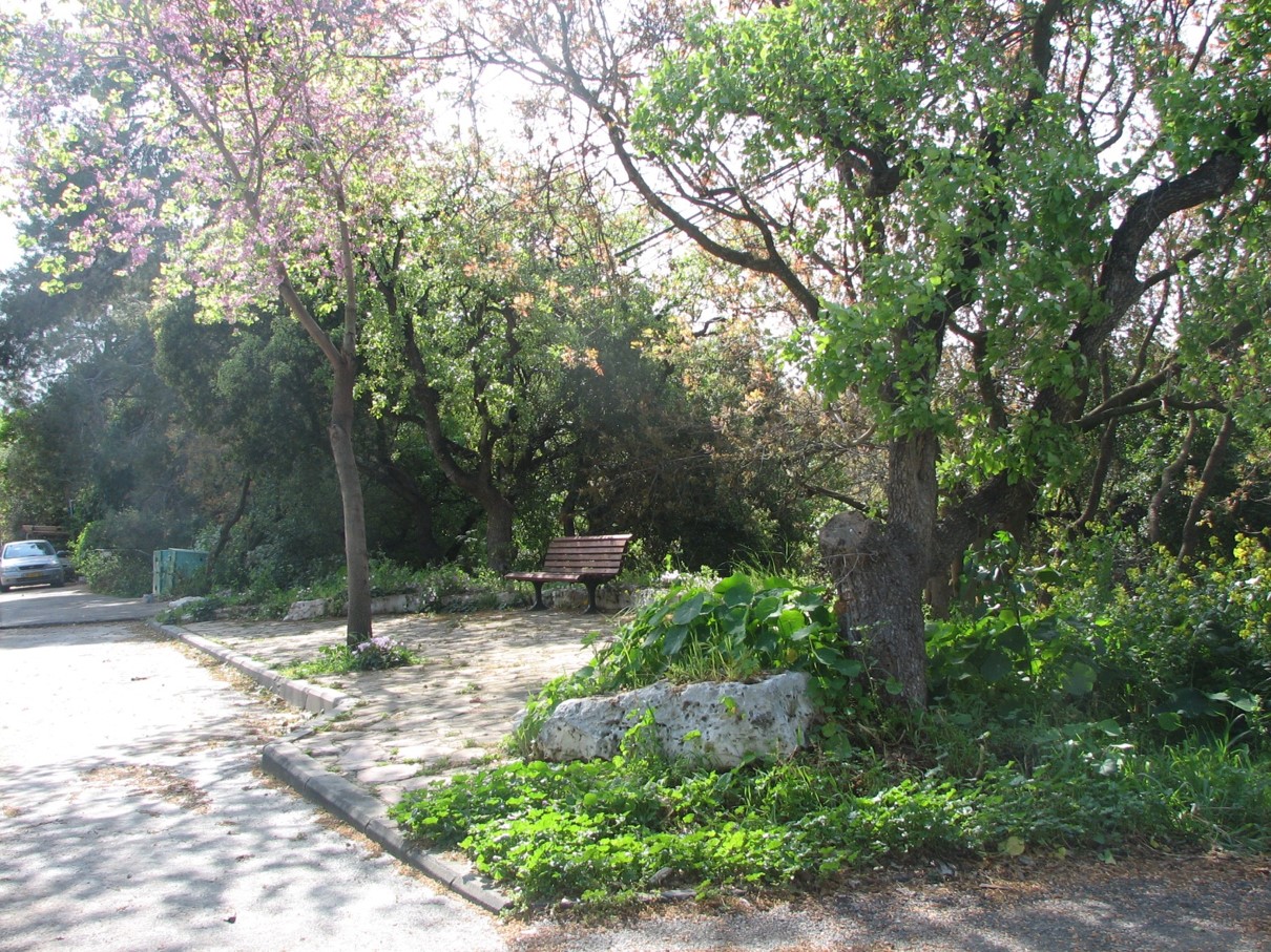 Picture4