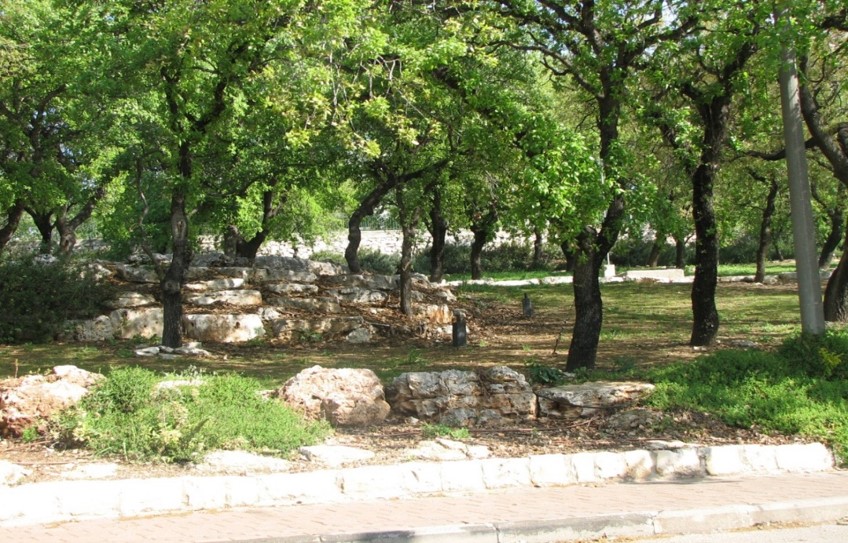 Picture6