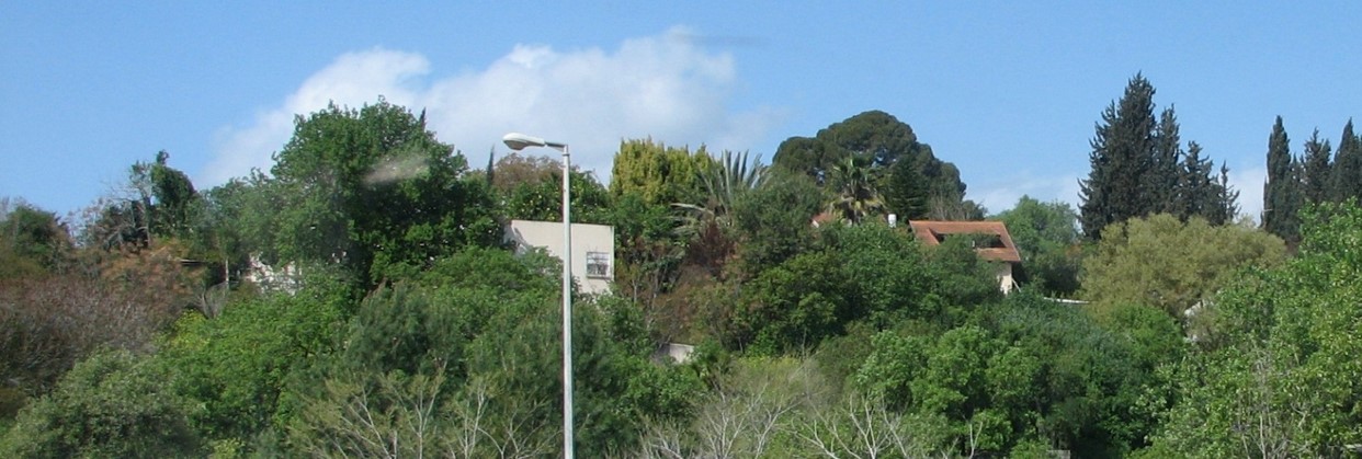 Picture9