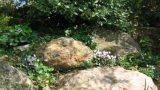 Picture13