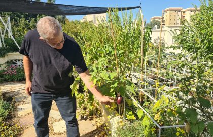 גגות ירוקים – תכנון וטכנולוגיות