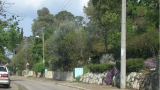 Picture7